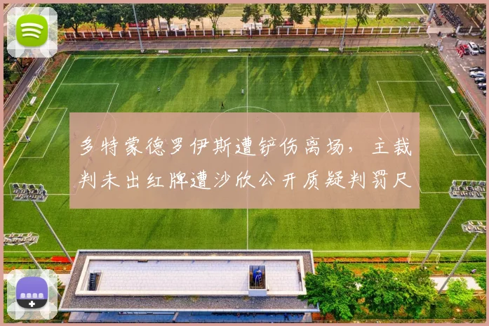 多特蒙德罗伊斯遭铲伤离场，主裁判未出红牌遭沙欣公开质疑判罚尺度